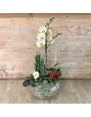 Coupe de plantes fleuries