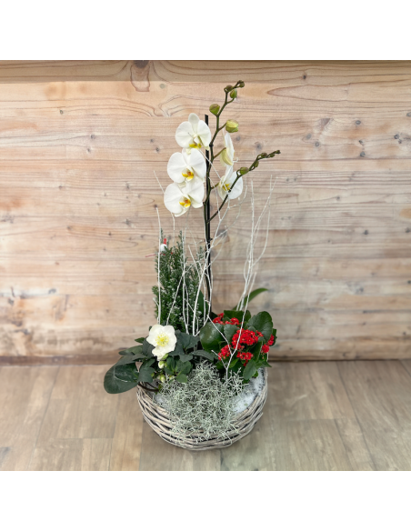 Coupe de plantes fleuries